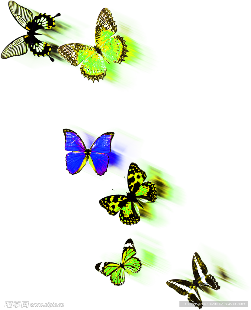 花素材