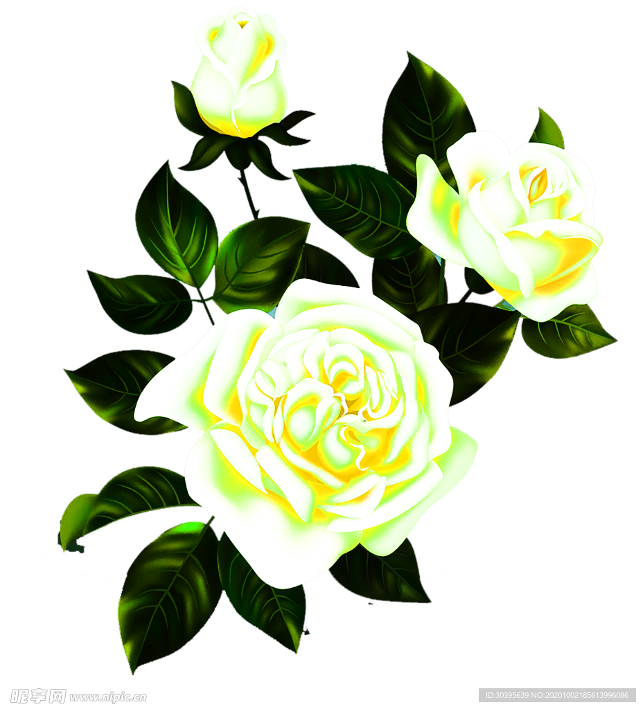 花素材