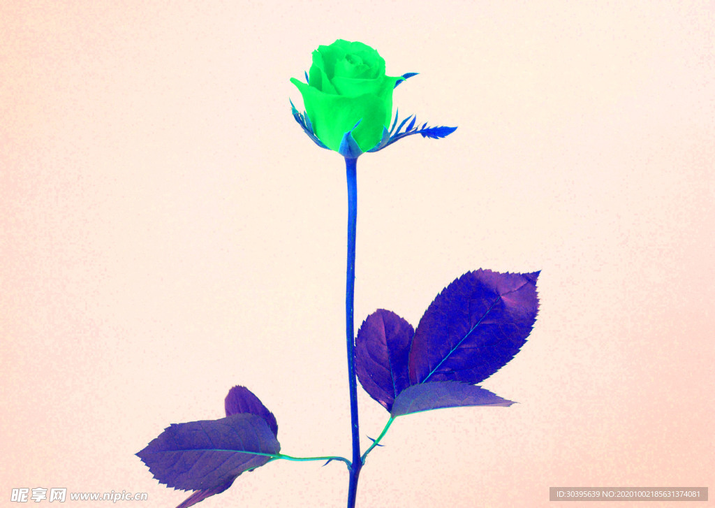 花素材