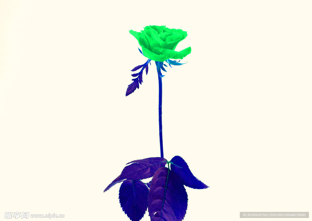 花素材
