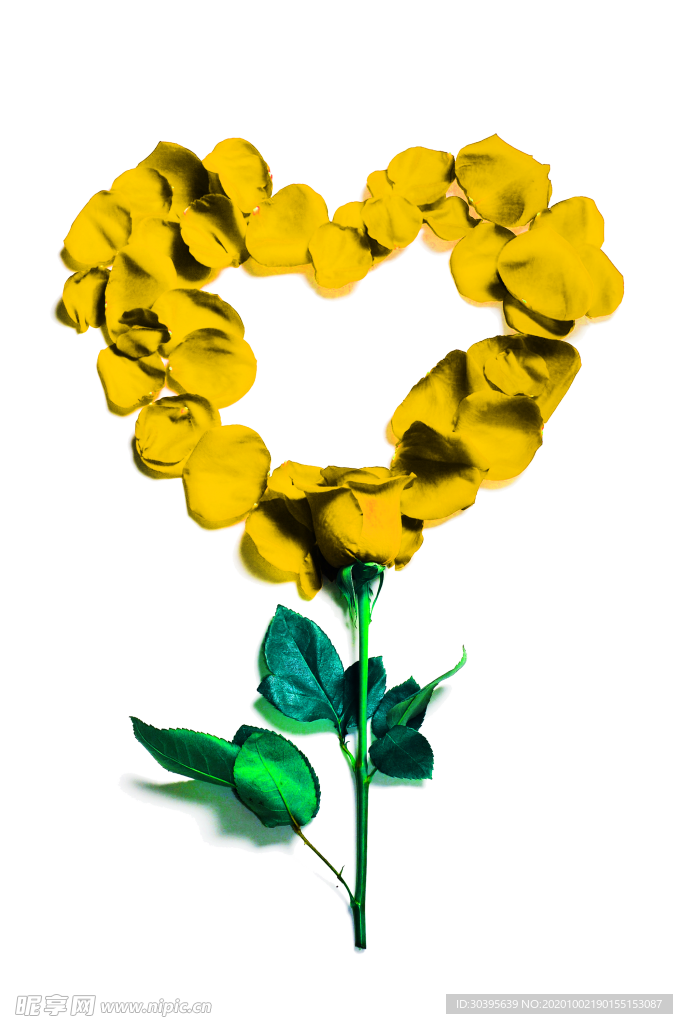 花素材
