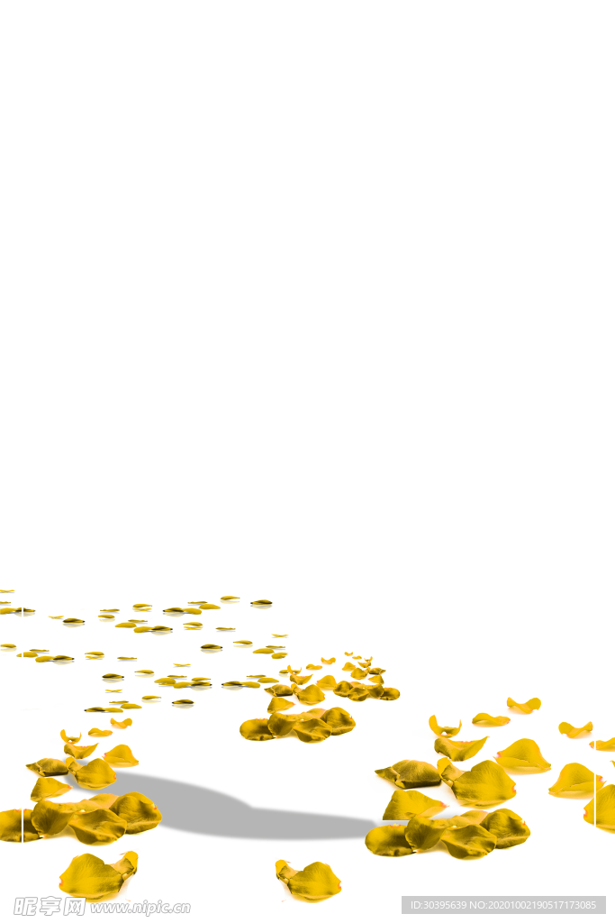 花素材