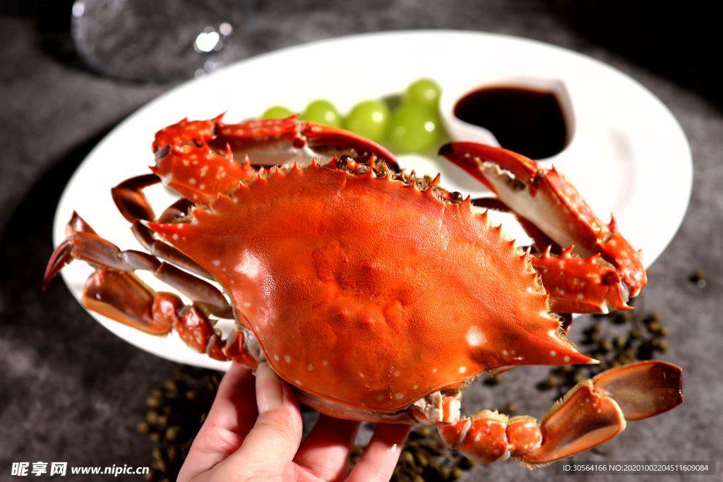 大闸蟹海鲜美食食材背景素材