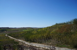 山坡公路