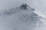 山