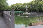 荷塘碧水图片