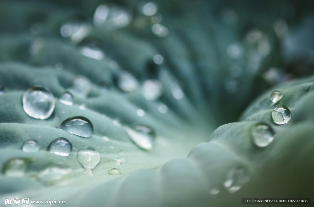 水珠水滴