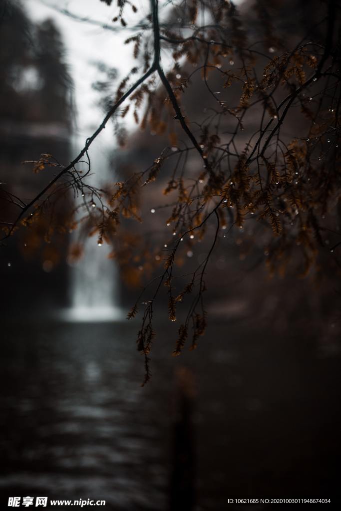 水珠水滴