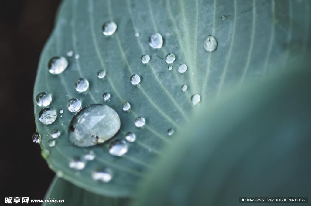 水珠水滴