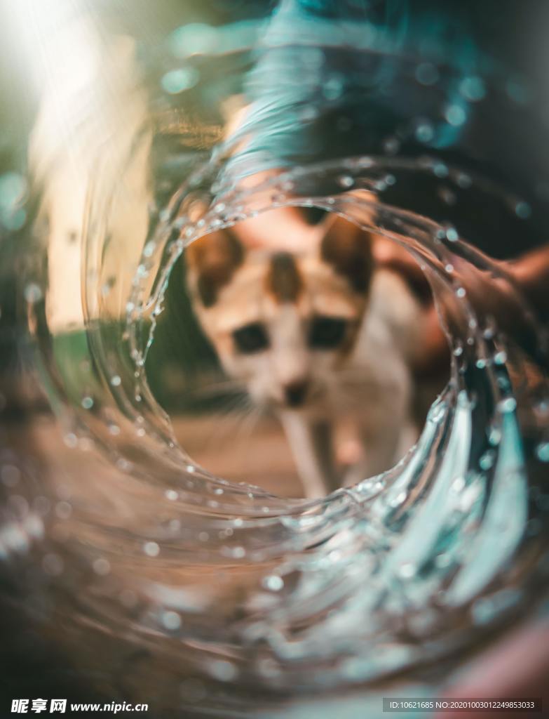 水珠水滴