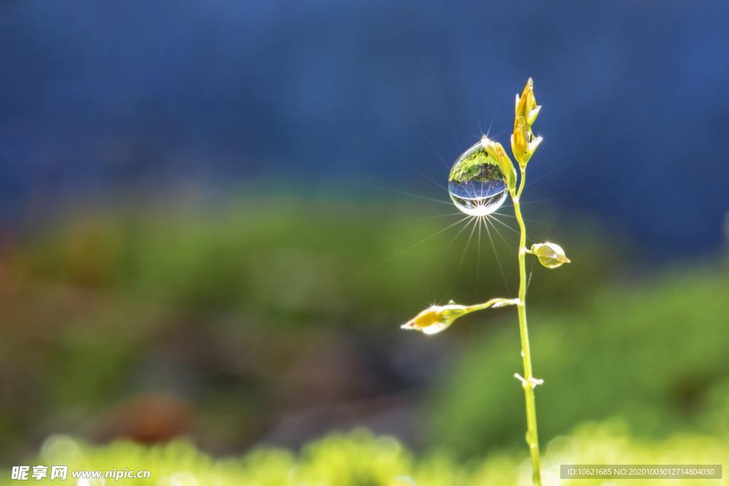 水珠水滴