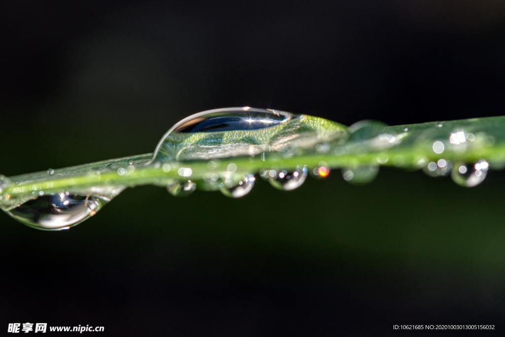 水珠水滴