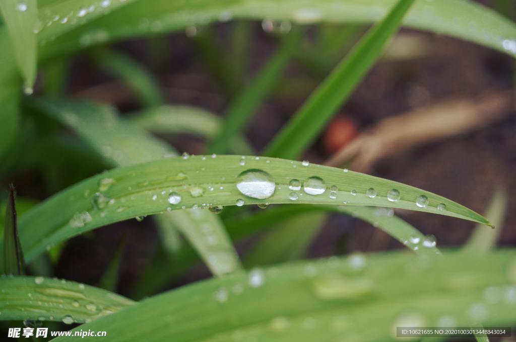 水珠水滴