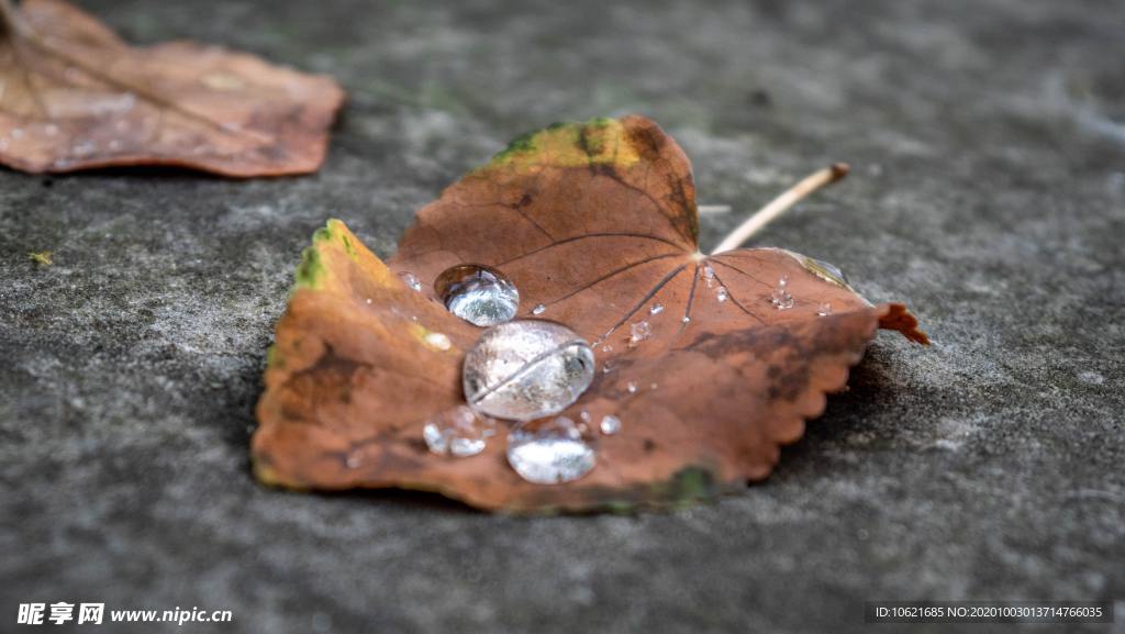 水珠水滴