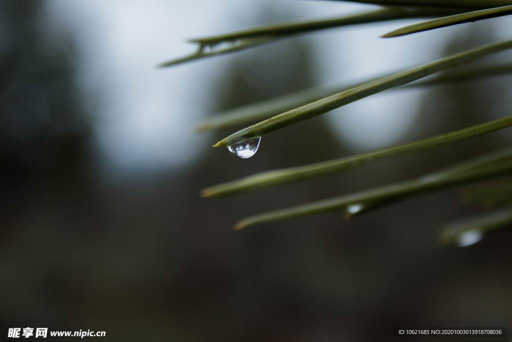 水珠水滴