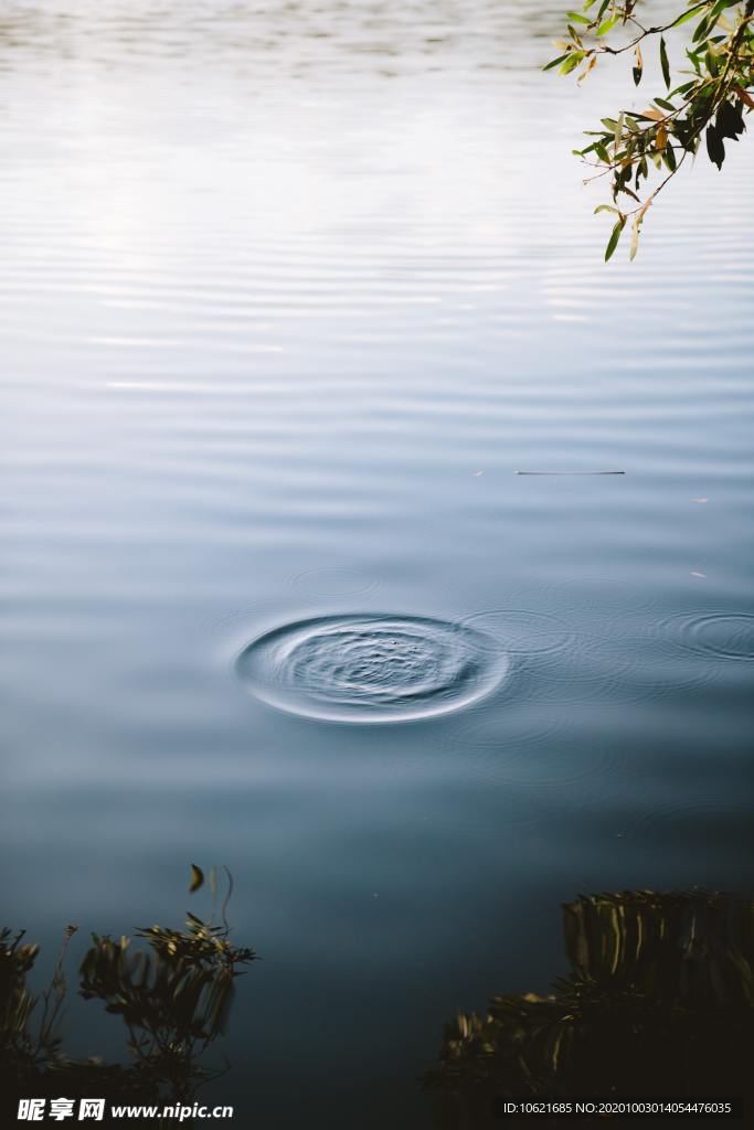 水珠水滴