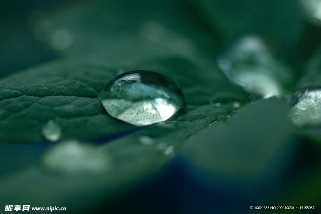 水珠水滴