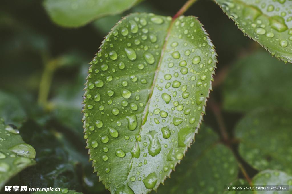 水珠水滴