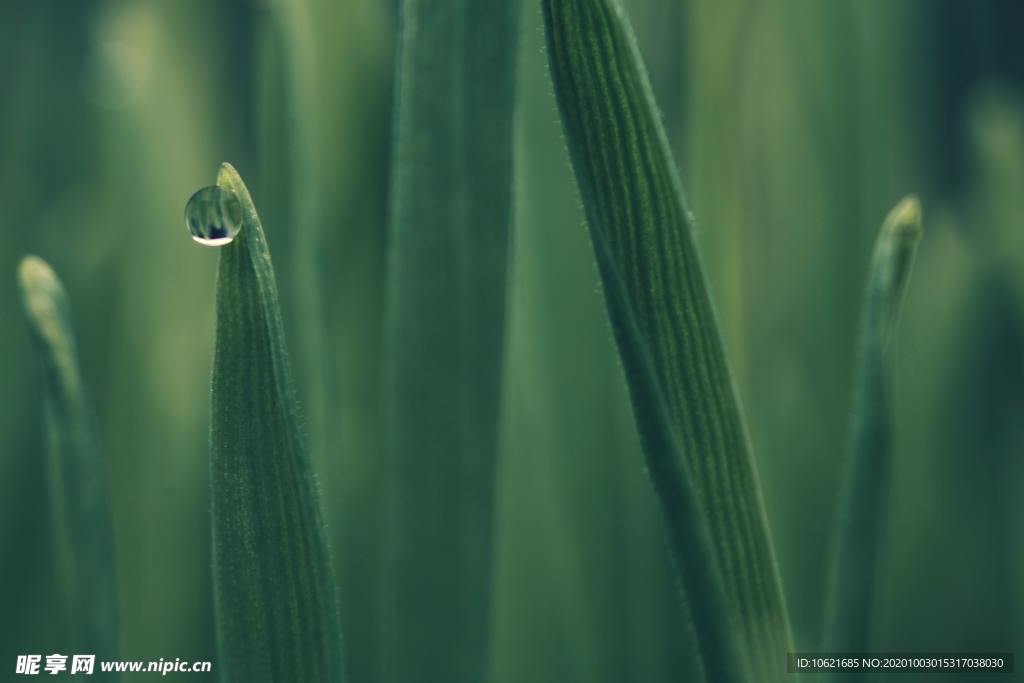 水珠水滴