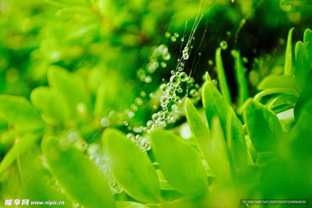 水珠水滴