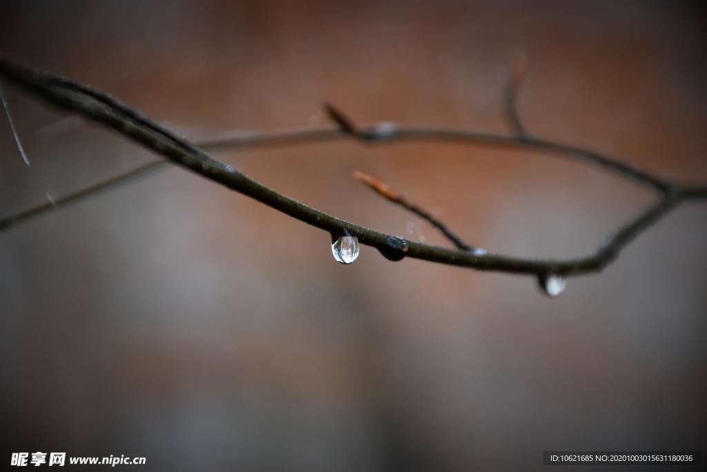 水珠水滴