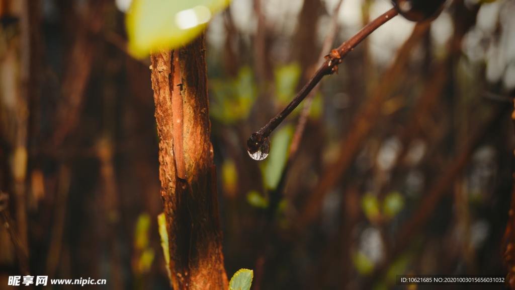 水珠水滴