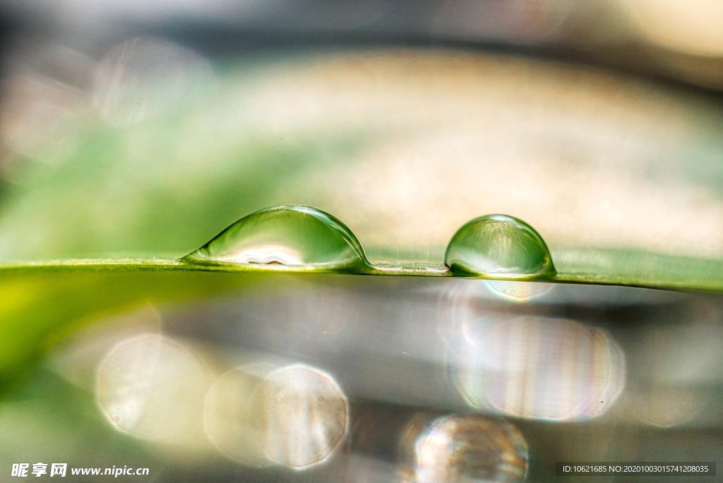 水珠水滴