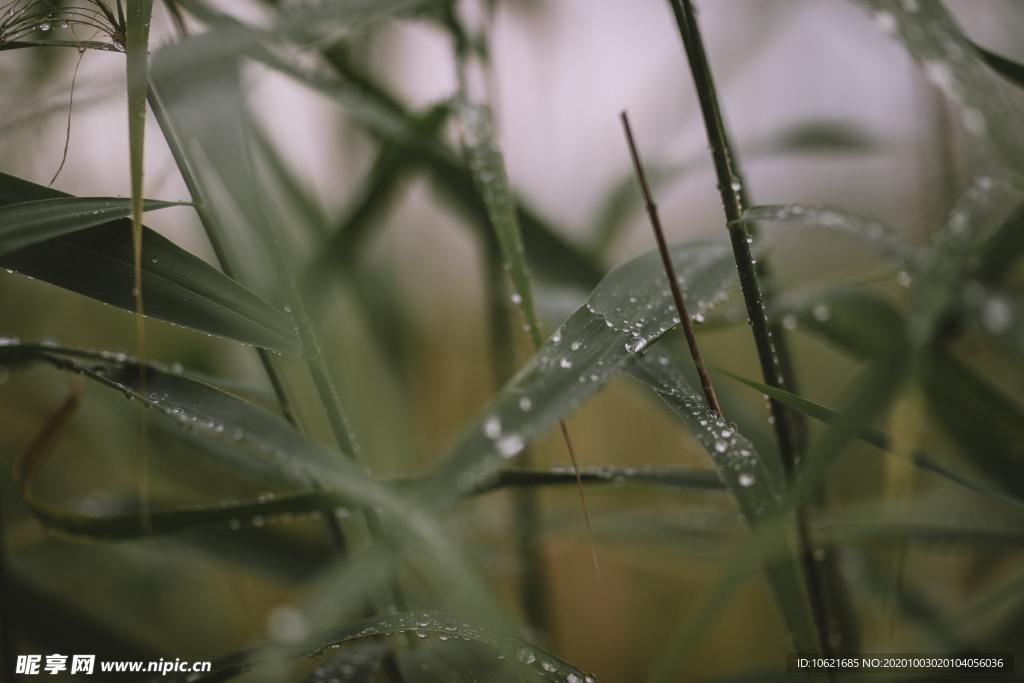 水珠水滴