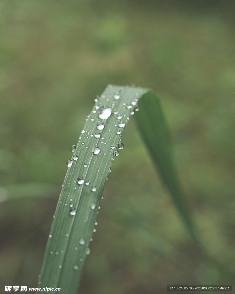 水珠水滴