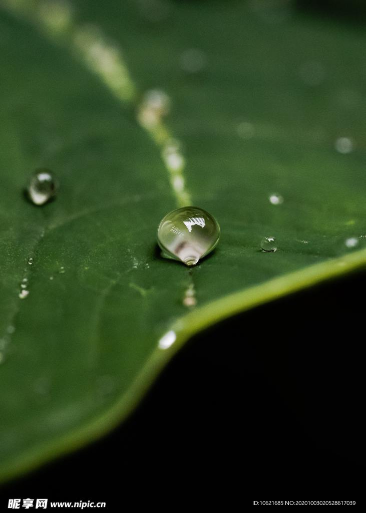 水珠水滴