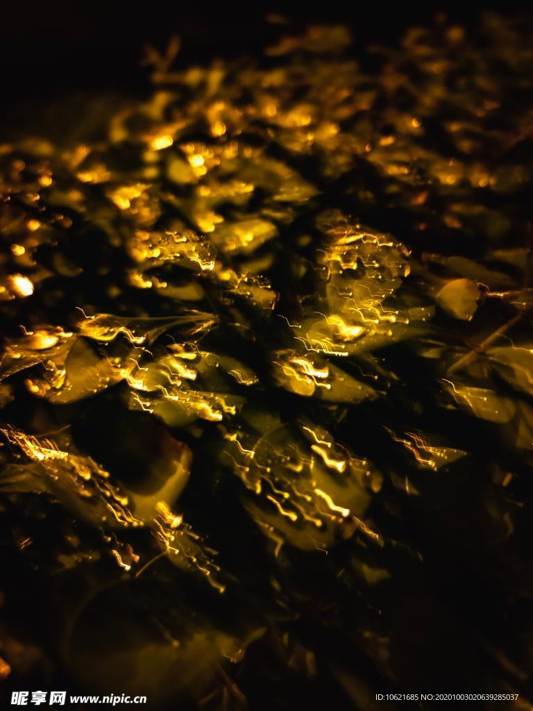 水珠水滴