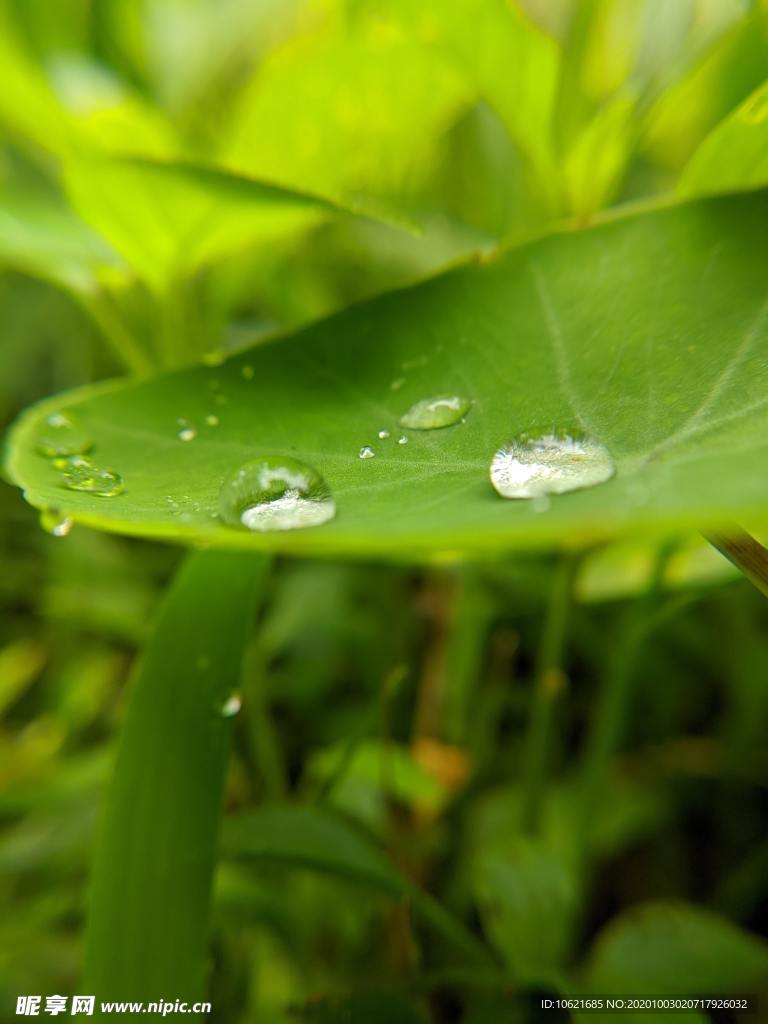 水珠水滴