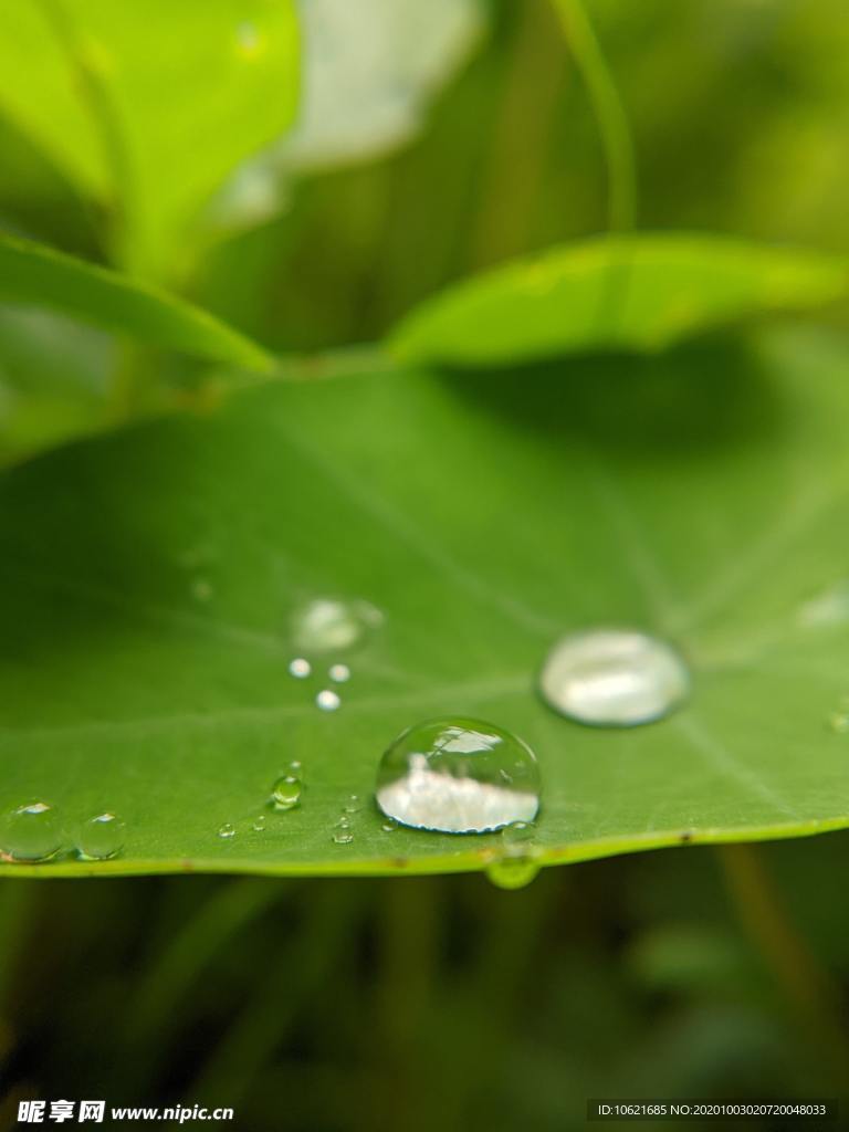 水珠水滴