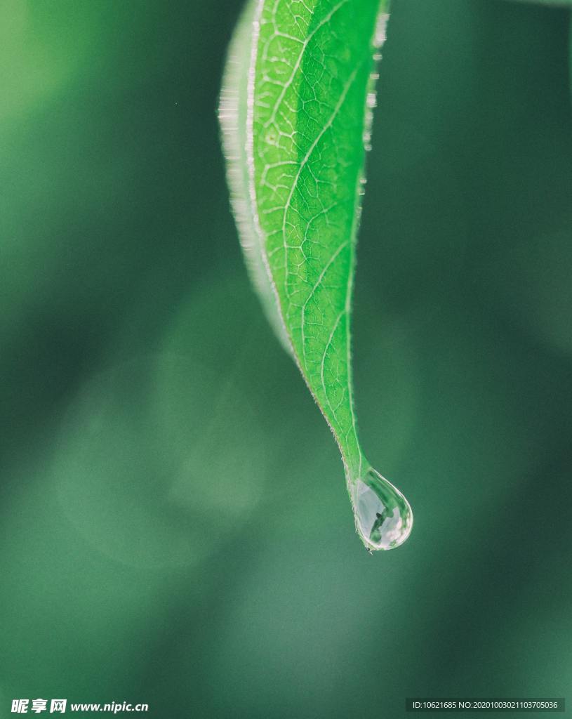 水珠水滴