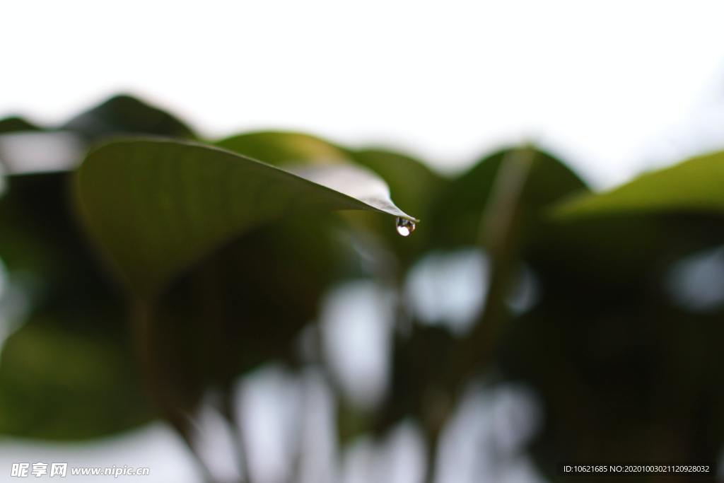 水珠水滴