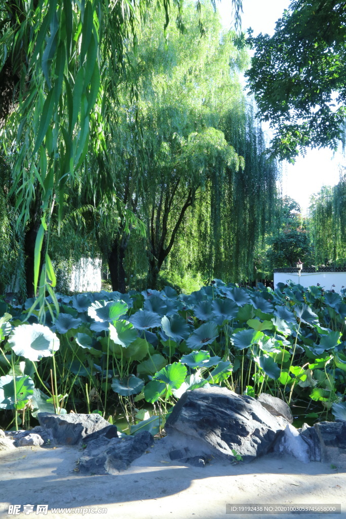 园林风景