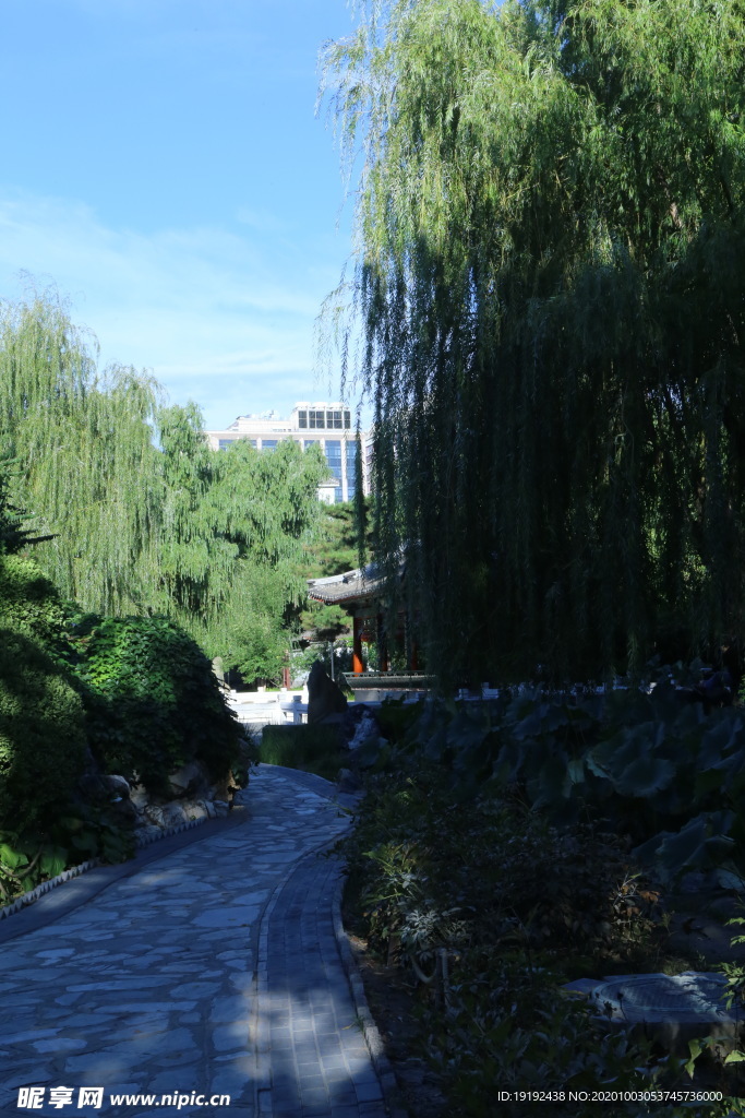 园林风景