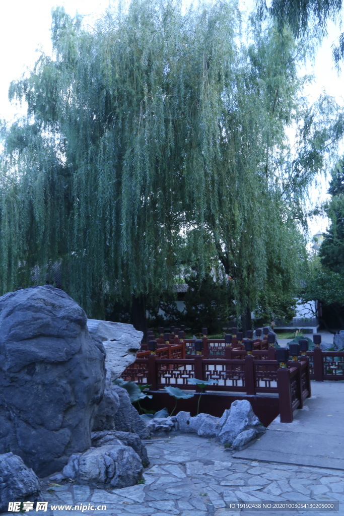 园林风景