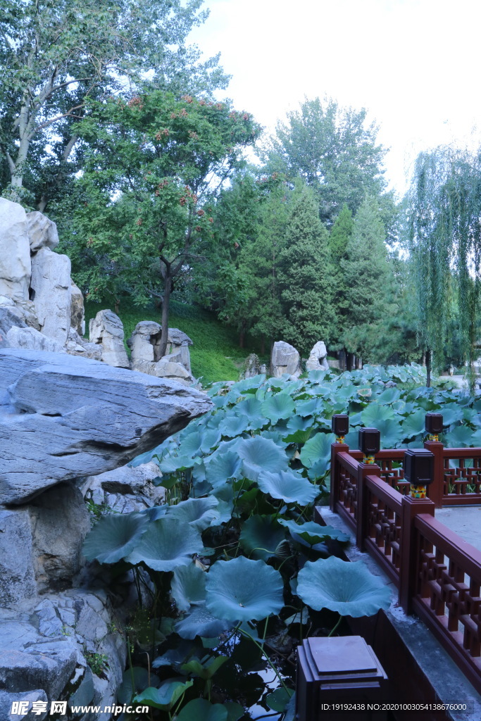 园林风景