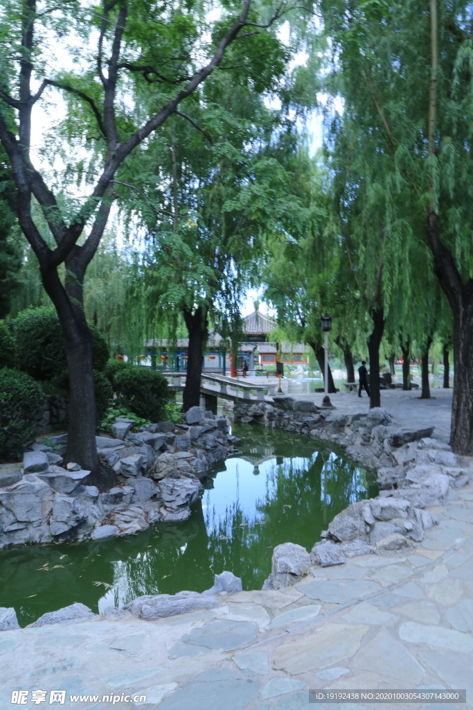 园林风景