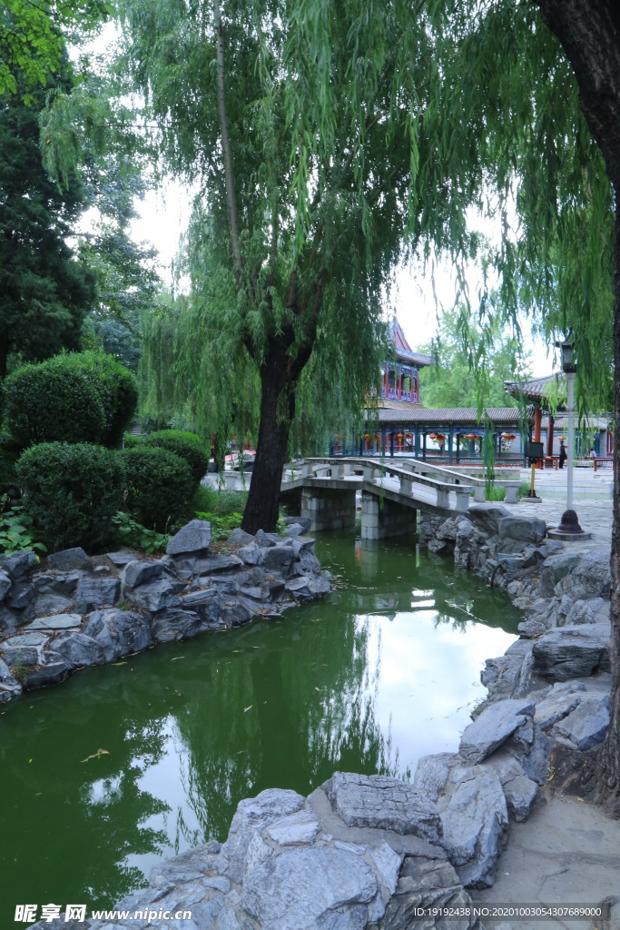 园林风景