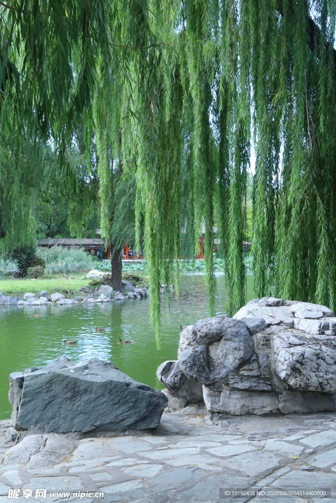 园林风景