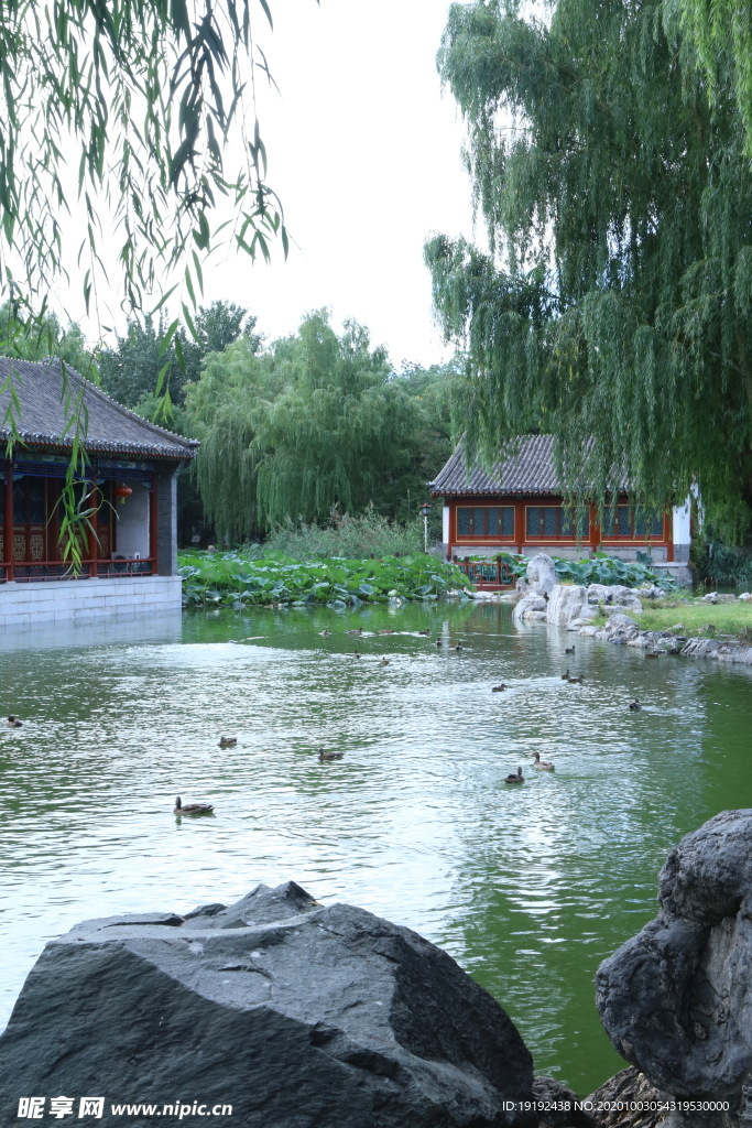 园林风景
