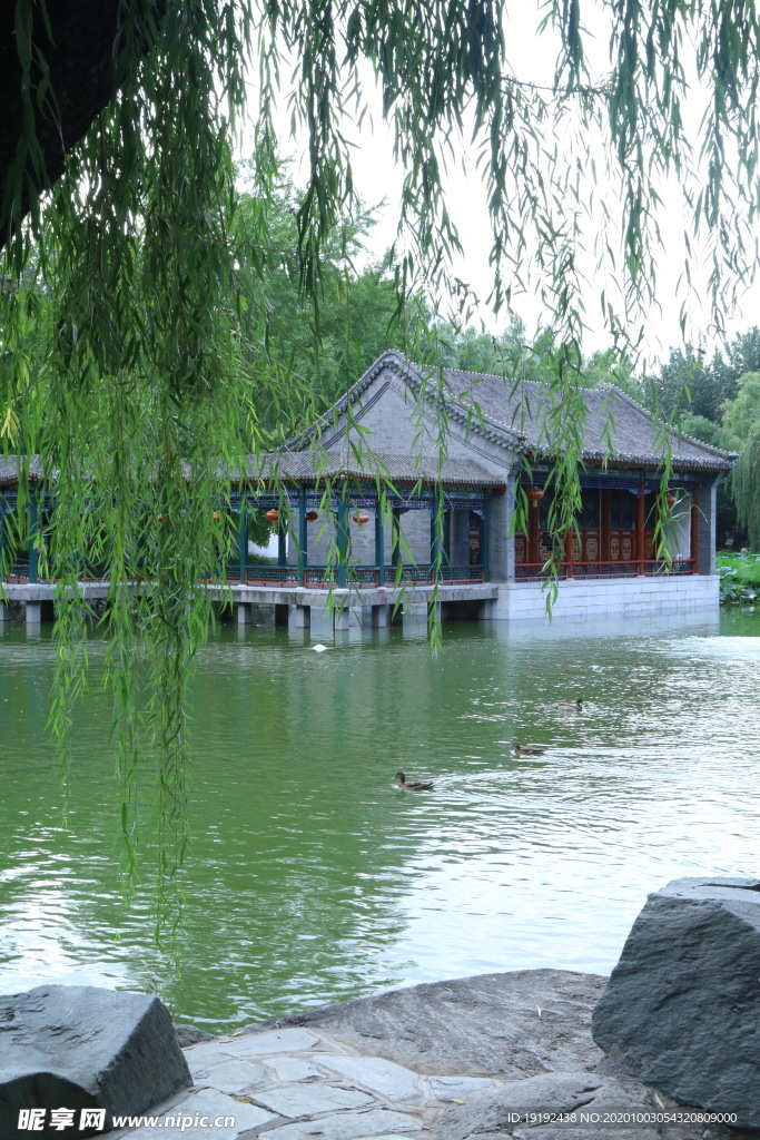园林风景