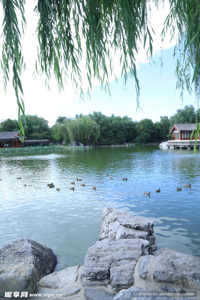 园林风景