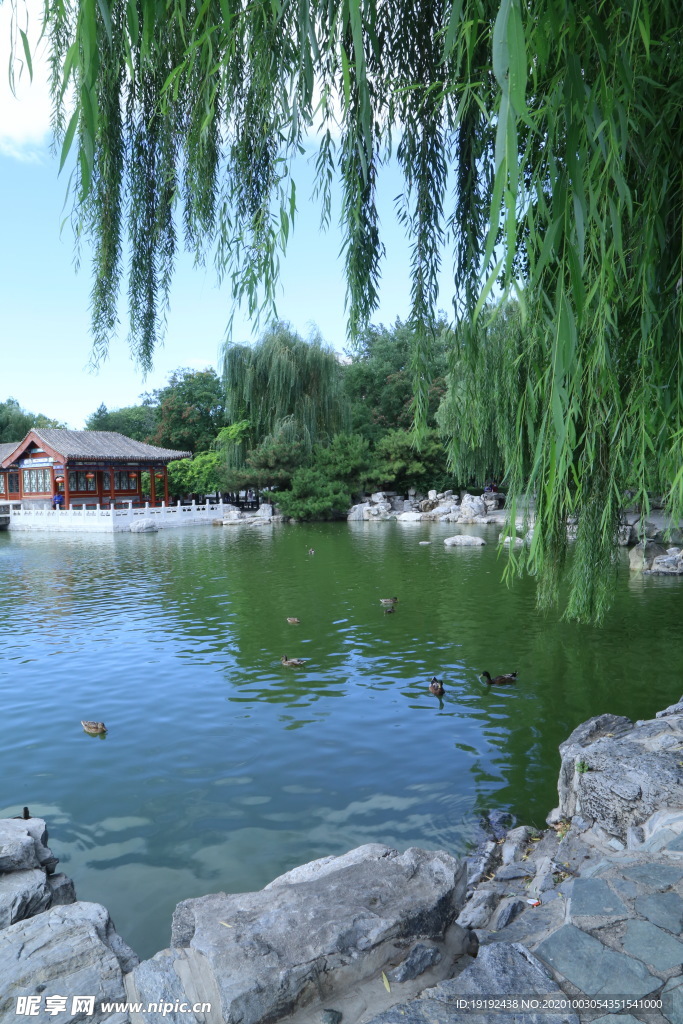 园林风景