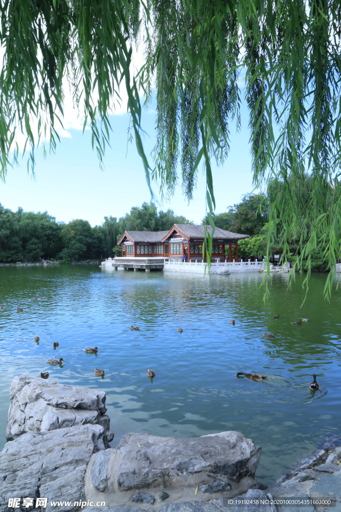 园林风景