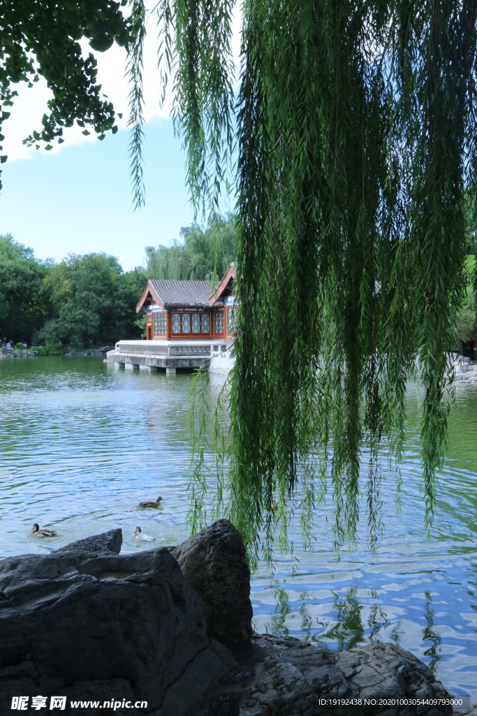 园林风景