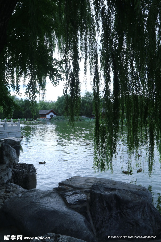 园林风景