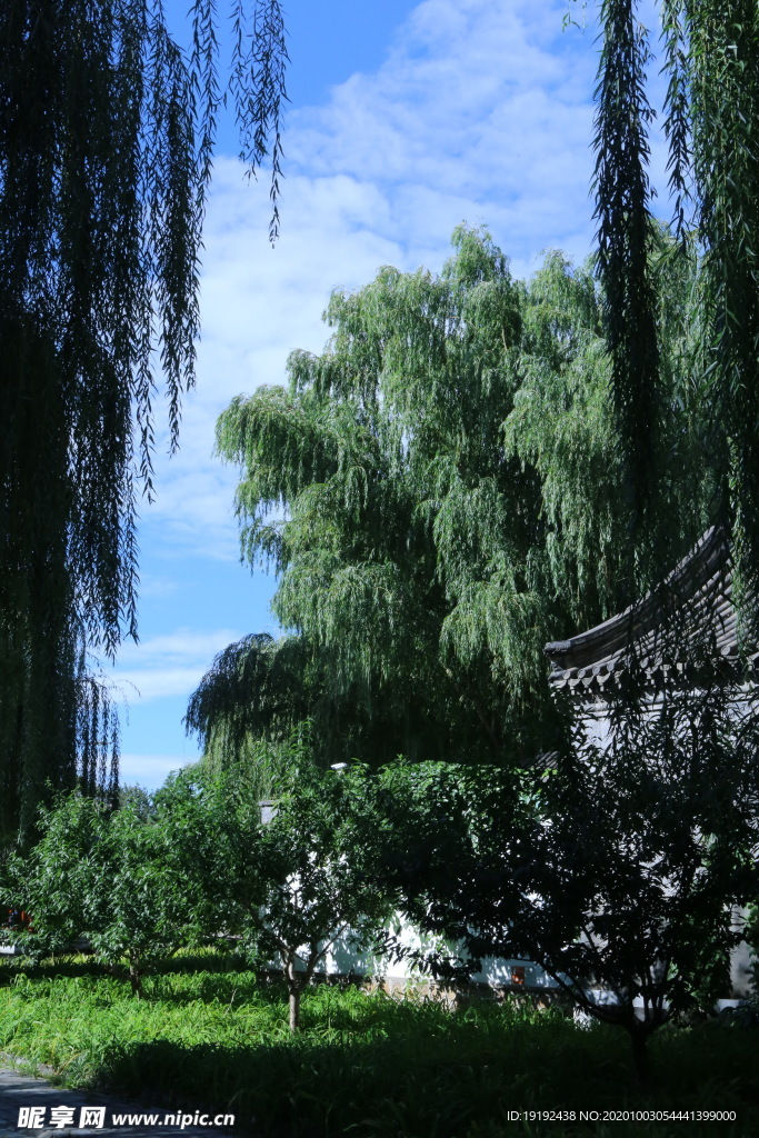 园林风景